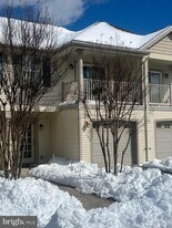 29637 Sawyer Loop in Millsboro, DE - Building Photo