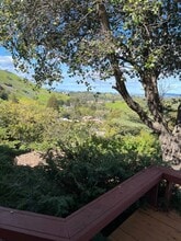 1542 Rancho View Dr in Lafayette, CA - Building Photo - Building Photo