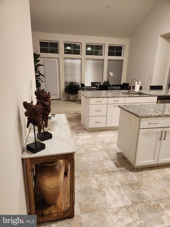 30246 Piping Plover Dr in Millsboro, DE - Building Photo - Building Photo