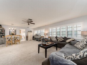 3493 Birchwood Ct in Palm Harbor, FL - Building Photo - Building Photo