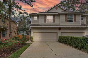 19 Peach Ridge Pl in Spring, TX - Building Photo