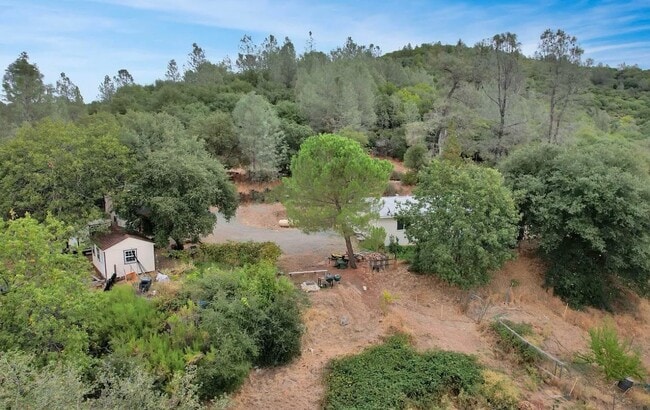 14818 Barberio Ln in Nevada City, CA - Building Photo - Building Photo