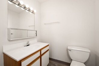 Carriage Creek Apartments in Richton Park, IL - Building Photo - Building Photo