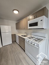 4866 N Magnolia Ave in Chicago, IL - Building Photo - Building Photo