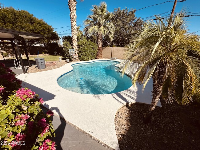 property at 3109 E Cholla St