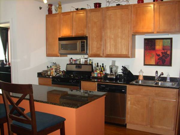 210 S Desplaines St, Unit 1107 in Chicago, IL - Building Photo