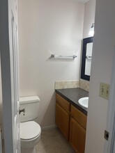 2828 Silverplume Dr in Fort Collins, CO - Building Photo - Building Photo