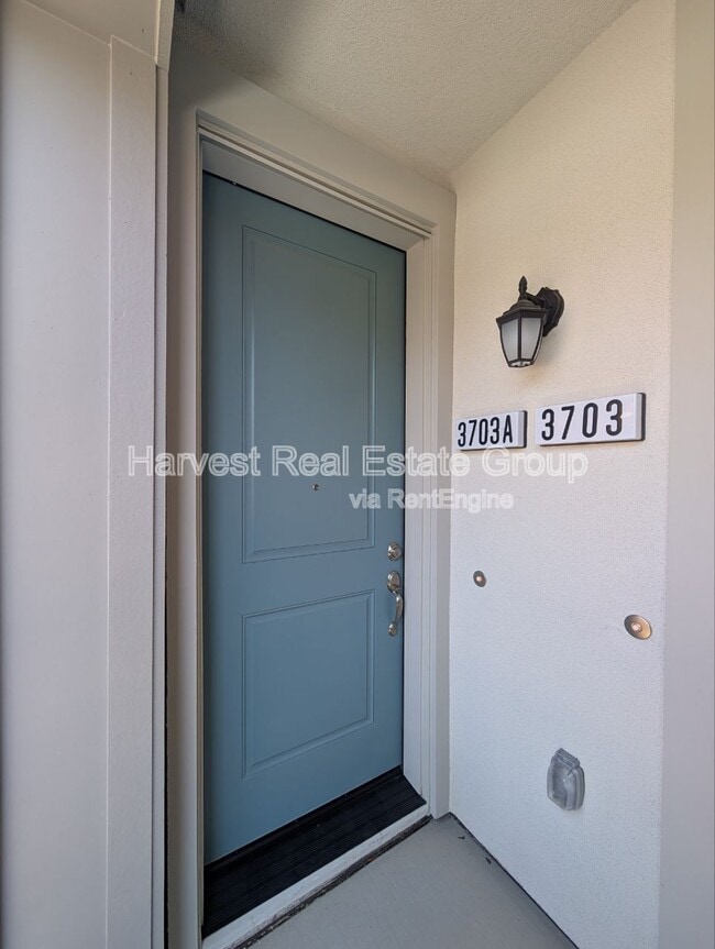 property at 3703 Scribe Wy