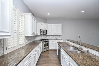 1016 Studer St in Houston, TX - Building Photo - Building Photo