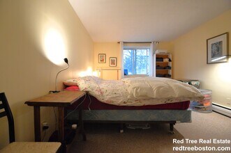 50 Green St, Unit 316 in Brookline, MA - Foto de edificio - Building Photo