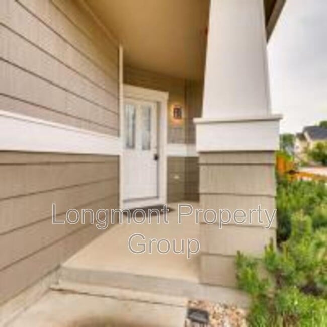 746 Arrowwood Street in Longmont, CO - Building Photo - Building Photo