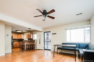 2042 S Josephine St, Unit 3 in Denver, CO - Building Photo