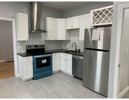 153 Chestnut St in Waltham, MA - Building Photo