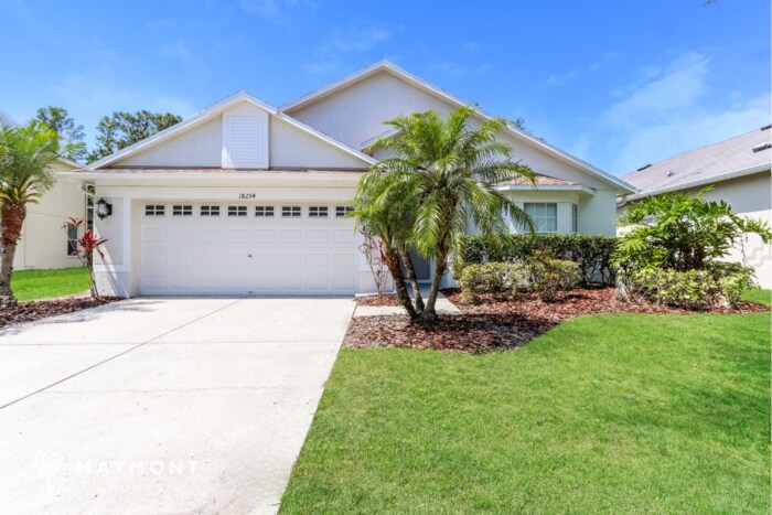 18254 Cypress Bay Pkwy in Land O Lakes, FL - Building Photo