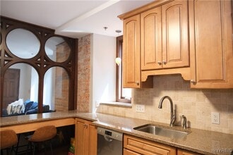 233 Richmond Ave in Buffalo, NY - Building Photo - Building Photo