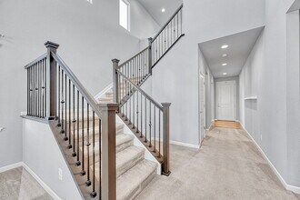 4064 Trail Stone Cir in Castle Rock, CO - Building Photo - Building Photo