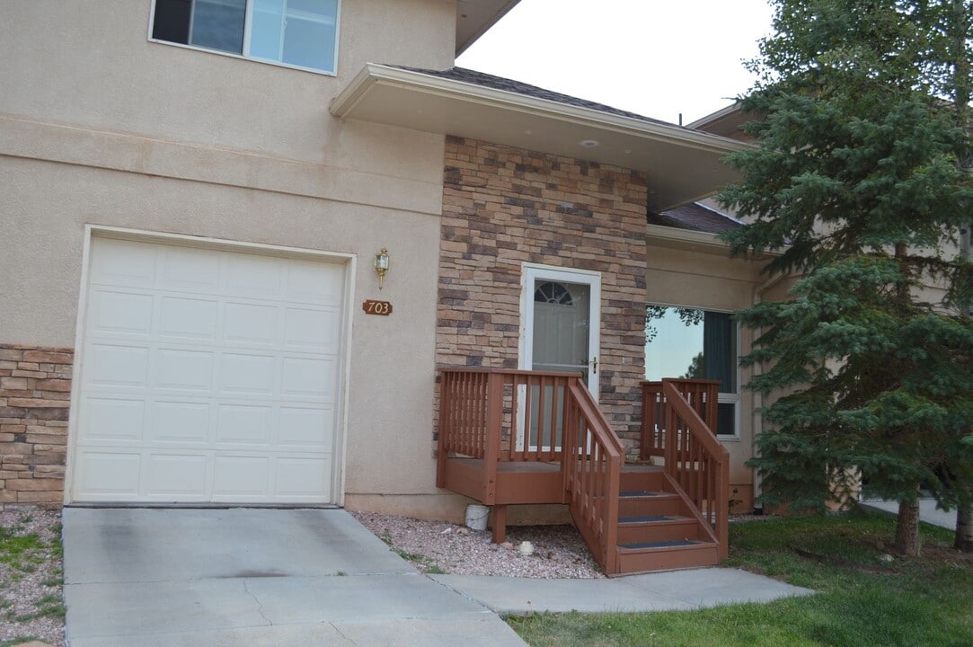 703 W Wood Trace in Woodland Park, CO - Building Photo
