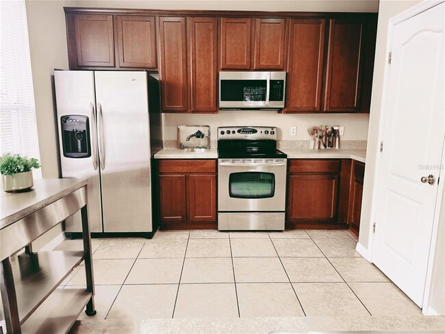 10825 Spider Lily Dr in Orlando, FL - Building Photo - Building Photo