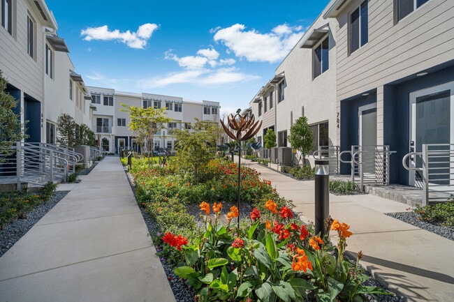 The Addison in Palmetto Bay | Townhomes