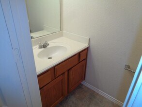 16822 Libson Falls Dr in Houston, TX - Building Photo - Building Photo