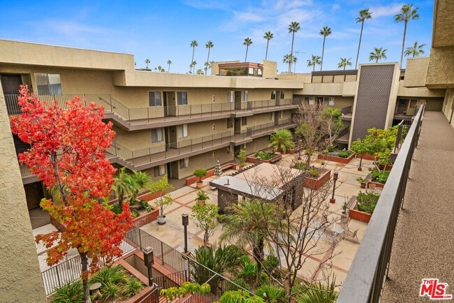 125 W Mountain St in Glendale, CA - Building Photo - Building Photo