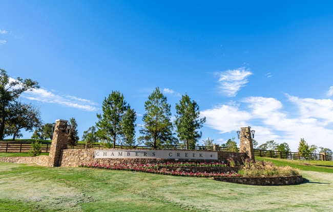 14250 Juniper Breeze Ct in Willis, TX - Building Photo - Building Photo