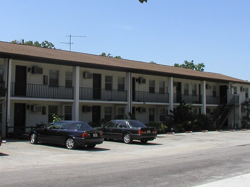 2916 W Wilder Ave in Tampa, FL - Building Photo