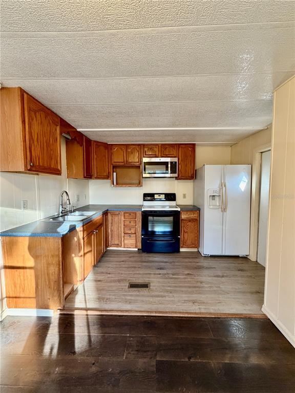 26312 Chianina Dr in Zephyrhills, FL - Building Photo - Building Photo