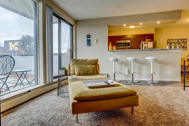 The Sans Souci in Ann Arbor, MI - Foto de edificio - Building Photo