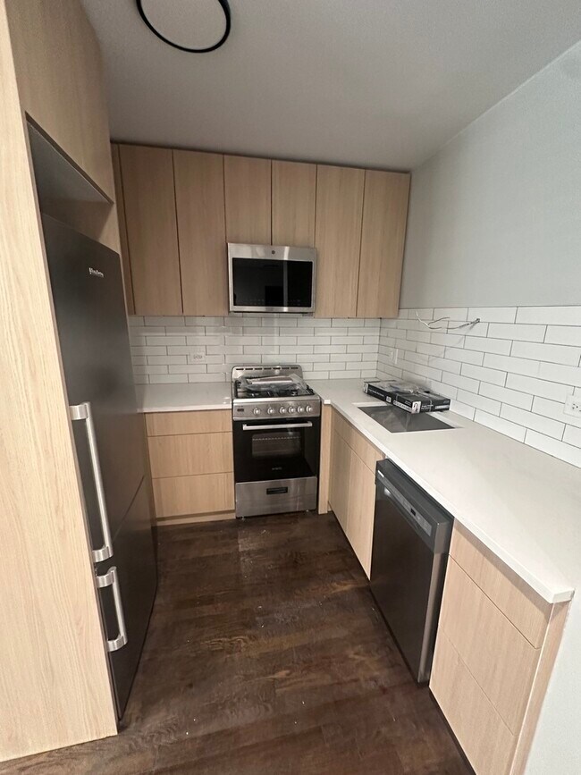 541 W Oakdale Ave in Chicago, IL - Building Photo - Building Photo