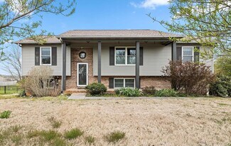 4125 Franklin Hill Blvd in Maryville, TN - Building Photo