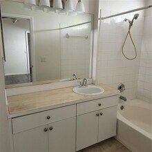 28525 Seashell Ct in Wesley Chapel, FL - Building Photo - Building Photo