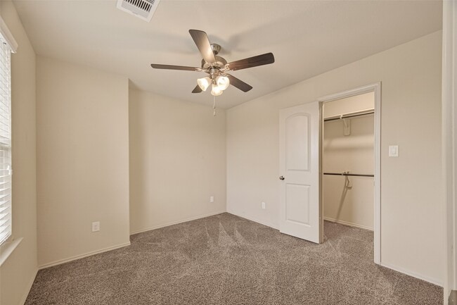 23506 Umbrella Pine Dr