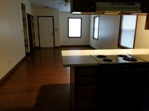 217 Isle of Pines Rd in Mooresville, NC - Building Photo - Building Photo