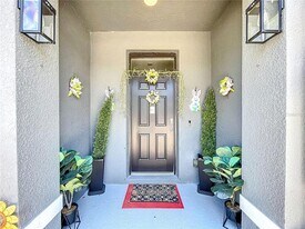 32573 Turtle Grace Lp in Wesley Chapel, FL - Building Photo