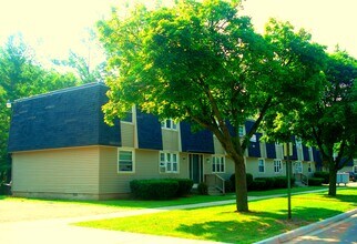 522 N River Ave, Unit 01 in Alma, MI - Foto de edificio - Building Photo