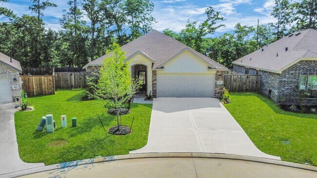 1351 Antigua Dr in Conroe, TX - Building Photo - Building Photo