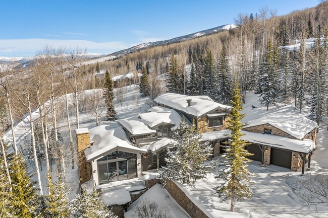 379 Divide Dr in Snowmass Village, CO - Building Photo - Building Photo