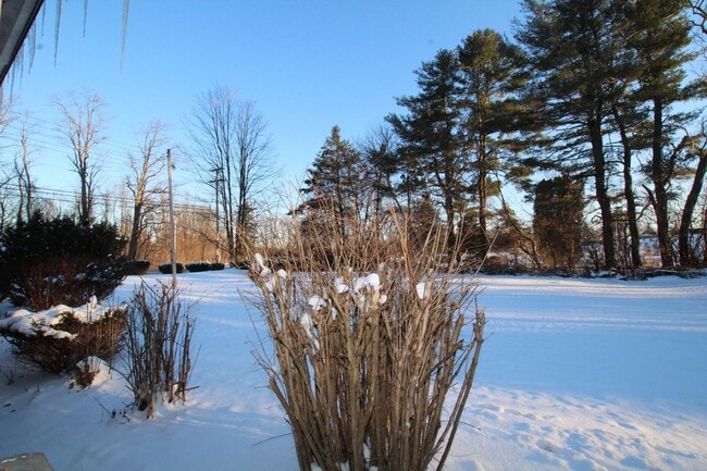 14311 Rte 9W in Ravena, NY - Building Photo - Building Photo