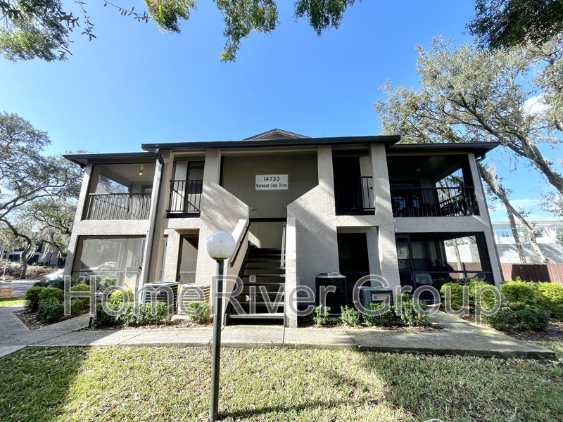 14733 Norwood Oaks Dr in Tampa, FL - Building Photo