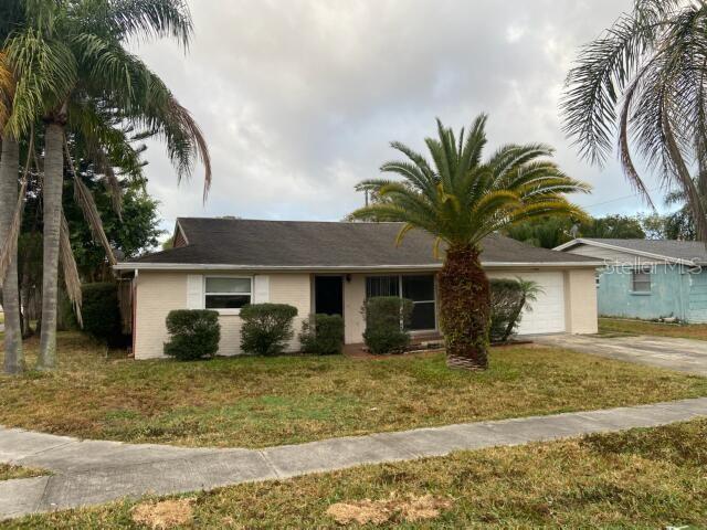 1131 Chancellor Dr in Holiday, FL - Building Photo