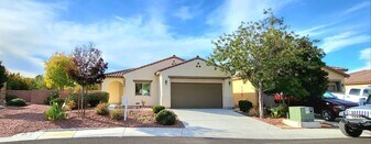 4790 S Toscana Pl in Pahrump, NV - Building Photo