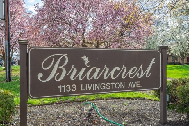 property at 1133 Livingston Ave