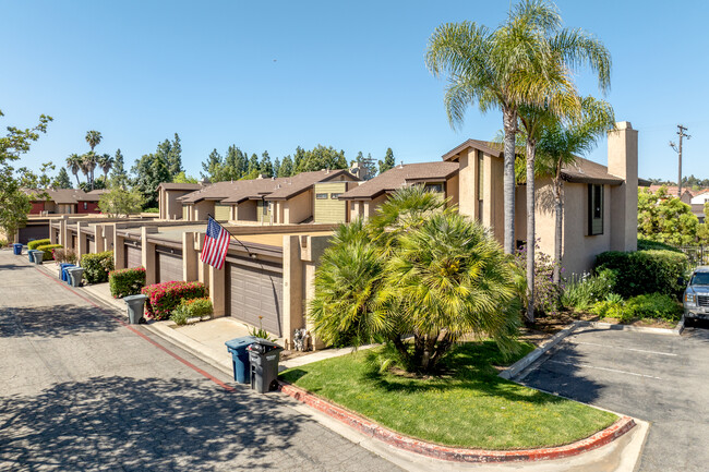 Skylark Terrace in Escondido, CA - Building Photo - Building Photo