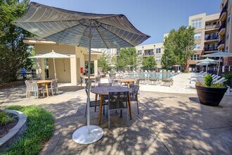 Apartments at The Arboretum in Cary, NC - Building Photo - Building Photo