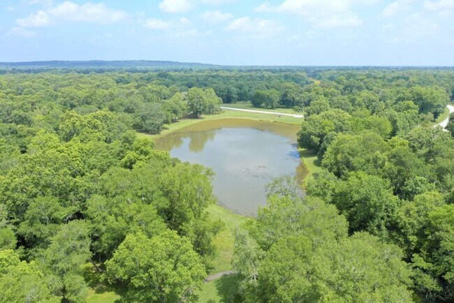 283 Wood Fern Dr in Cleveland, TX - Building Photo - Building Photo