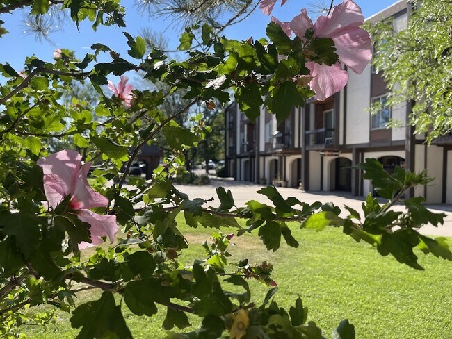 property at 3154 Lakeside Dr