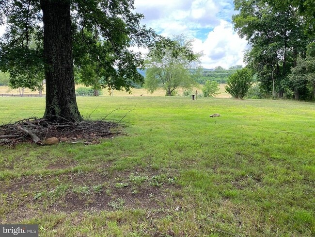 1909 Back Mountain Rd in Winchester, VA - Building Photo - Building Photo