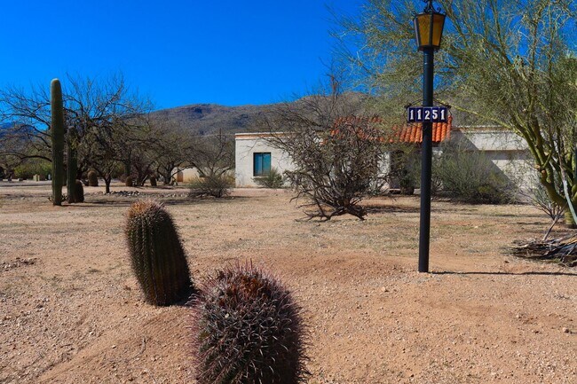 11251 E Placita Molino in Tucson, AZ - Building Photo - Building Photo