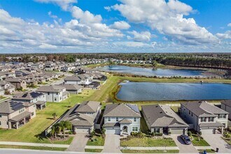 1608 Leaf Flower Ln in Lutz, FL - Building Photo - Building Photo